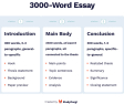 3000 word essay plan