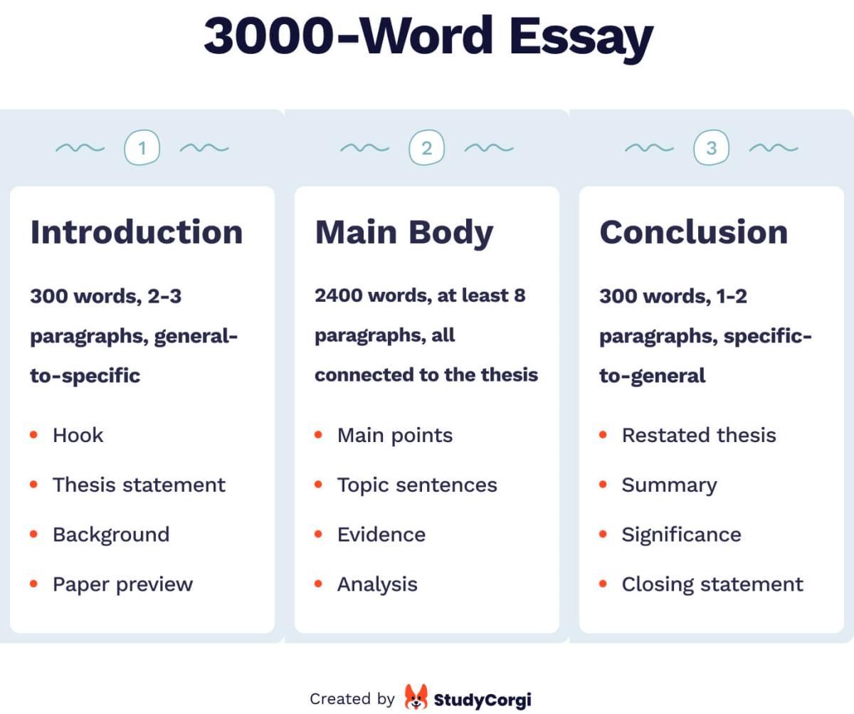 what does a 3000 word essay look like