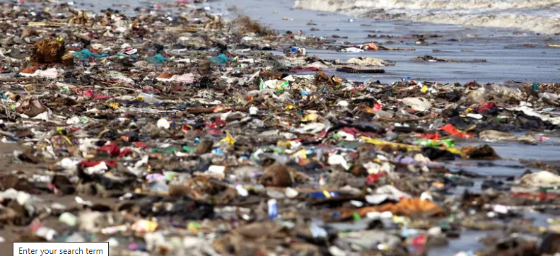 Dangers of Microplastics to Marine Ecosystems