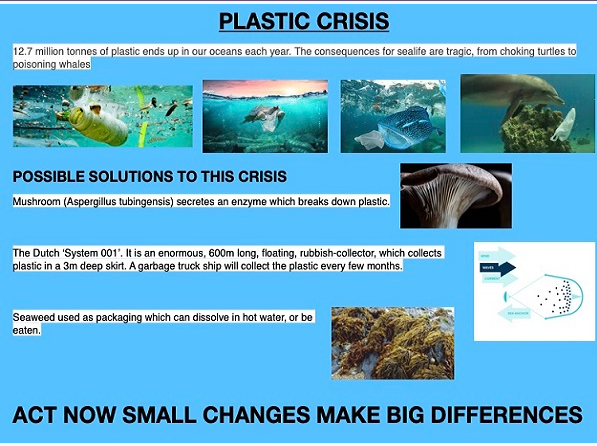 Dangers of Microplastics to Marine Ecosystems