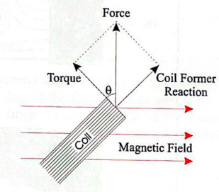 Vector representation of torque and force (Laboratory Manual)