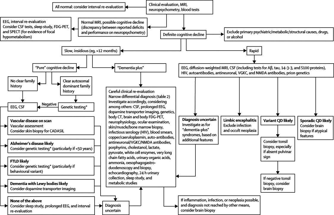 Flow Chart on Assessment of Pain in Dementia