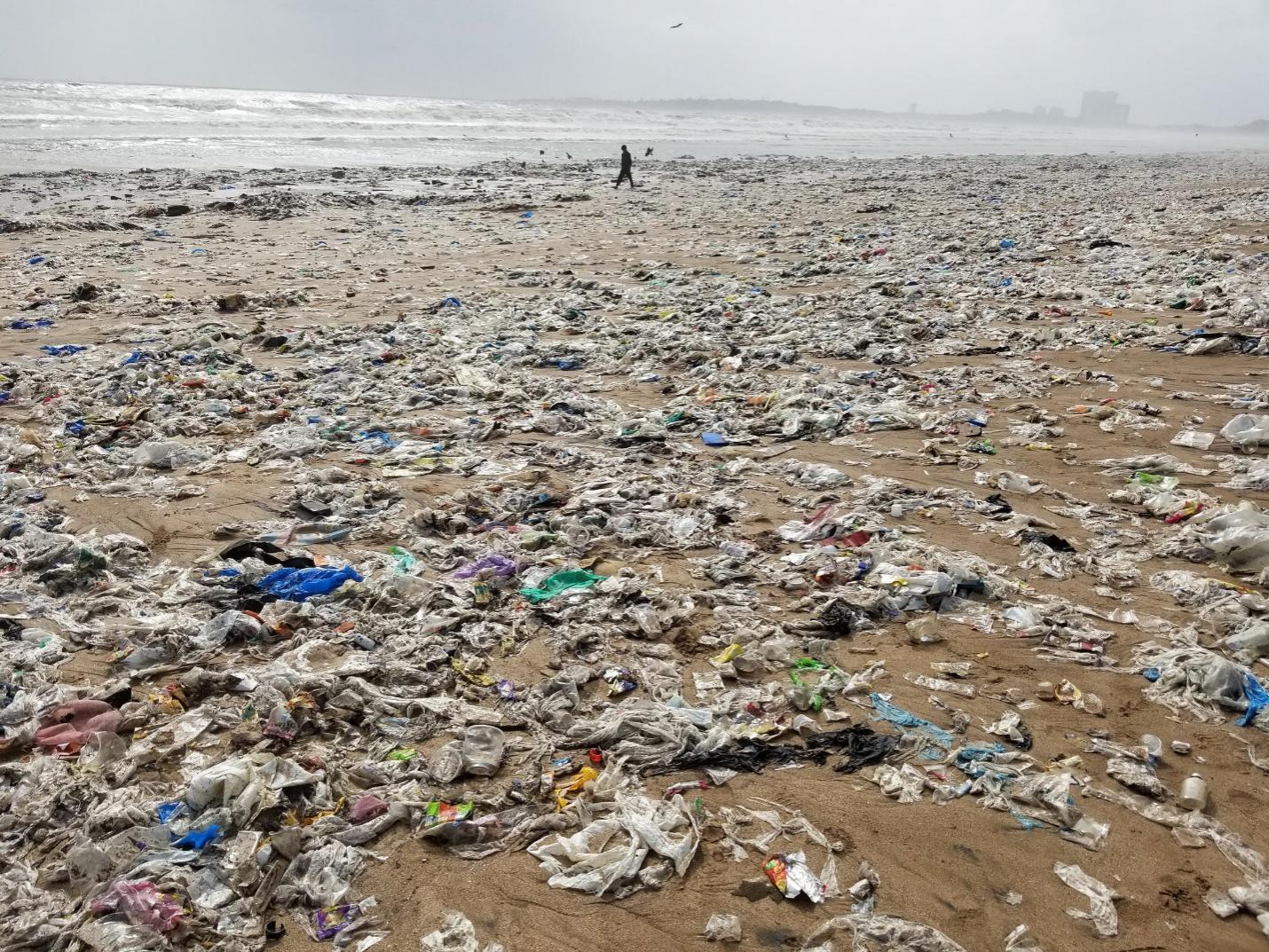 Shore affected by waste disposal