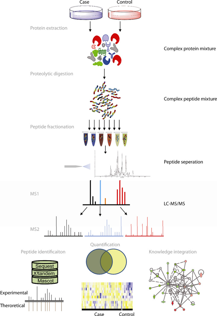 Overview of bottom-up proteomics