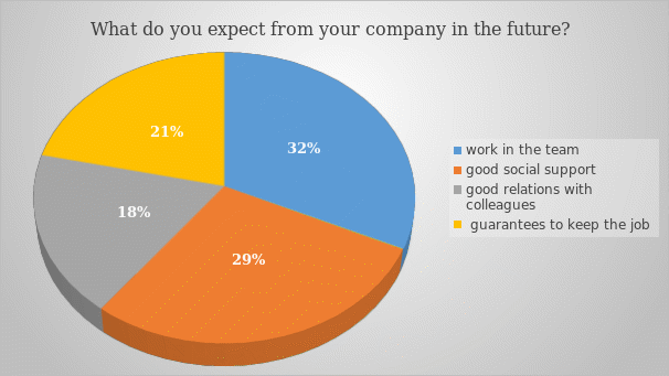 What do you expect from your company in the future?