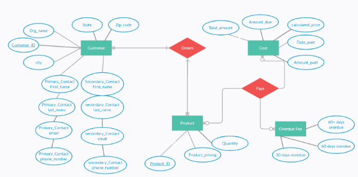 Billing and Payment Management System 