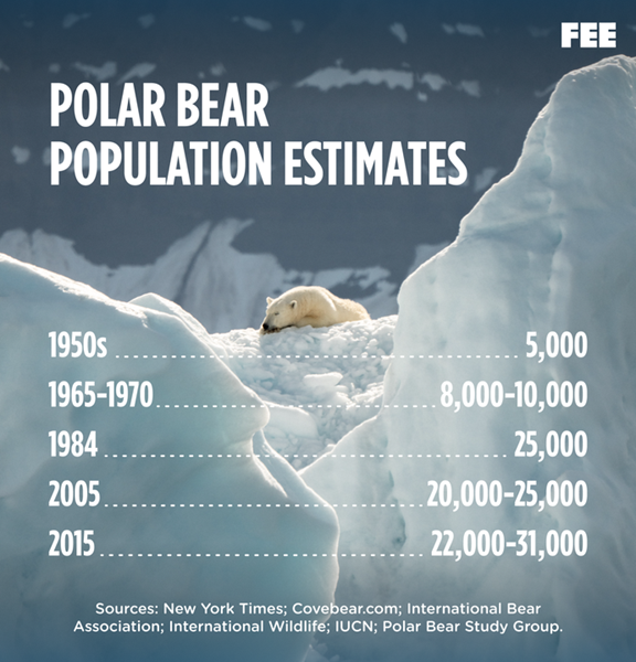 Changes in polar bear populations from 1950 to 2015