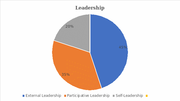  Sources of leadership