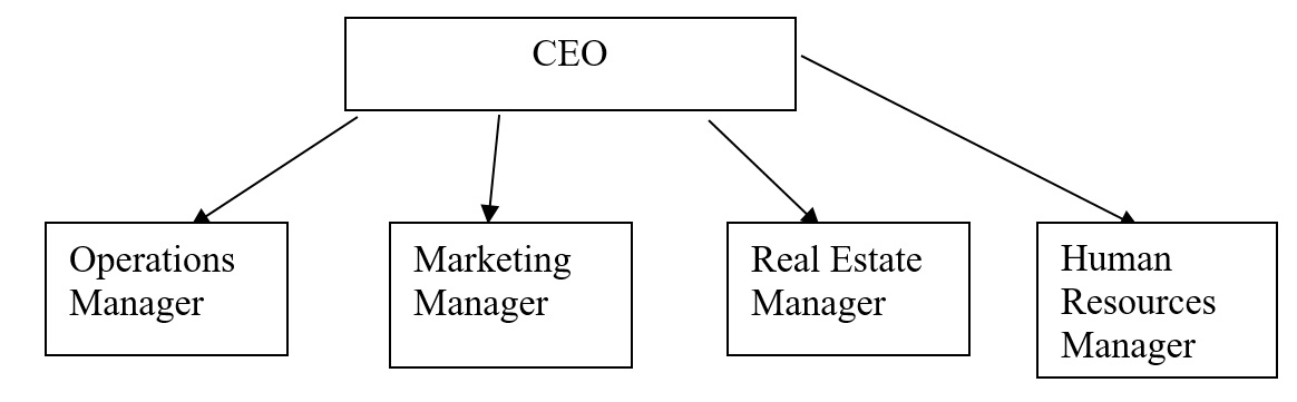CEO structure