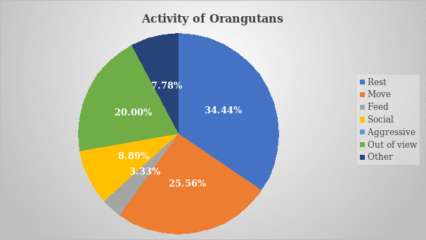 The percentage breakdown of orangutan activity