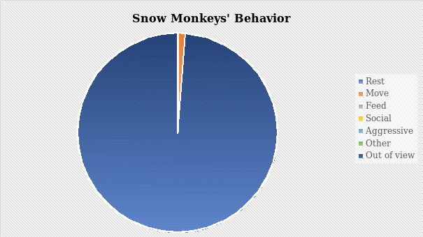 Snow monkeys’ activity