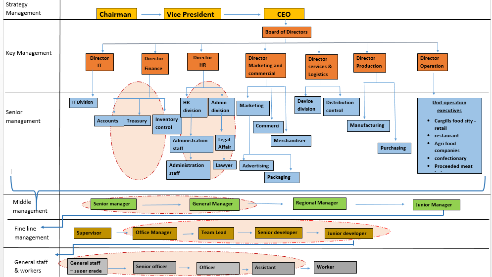 Cargill Organization Structure