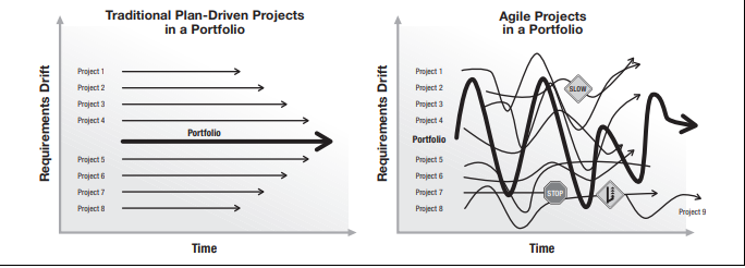 an illustration of the difference in the complexities of the portfolios of plan-driven projects and complex adaptive systems (agile)