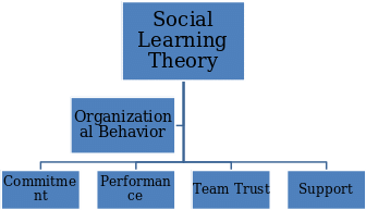 Impacts of social learning theory