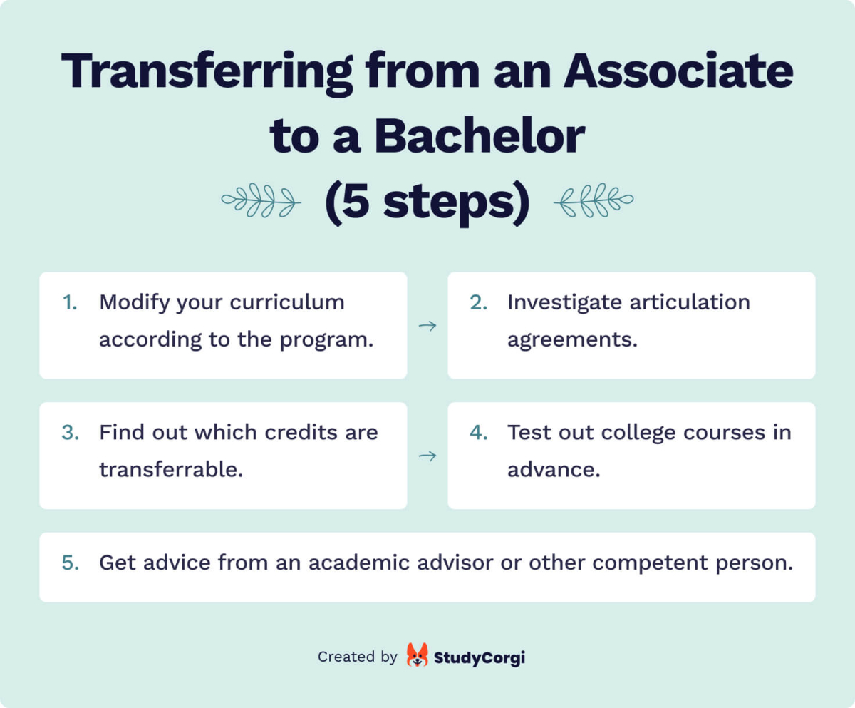 The picture describes the process of transferring from Associate to Bachelor.