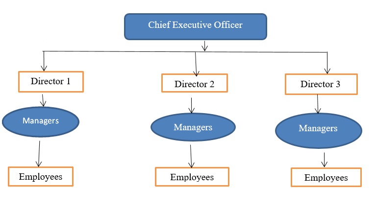XYZ Organization Structure