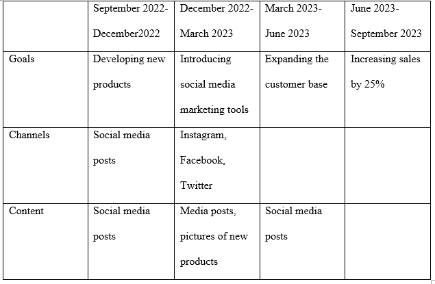 Content Promotion Calendar