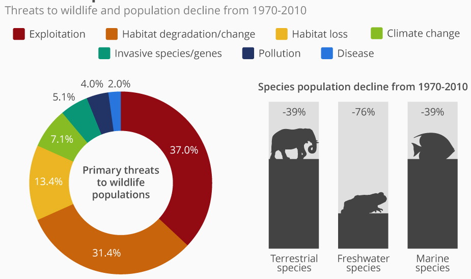 Wildlife population threats 
