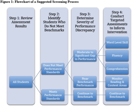 Flowchart of a suggested screening process