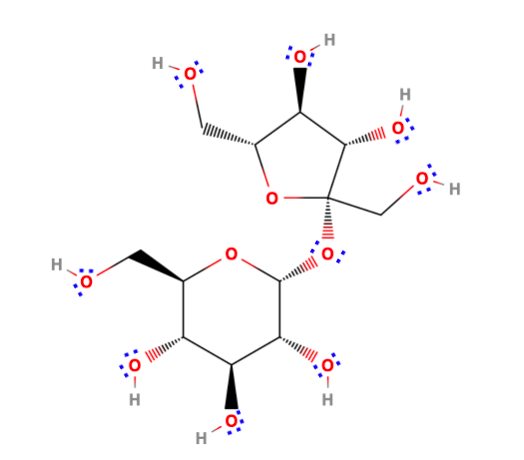  Stereometric model of a sucrose molecule