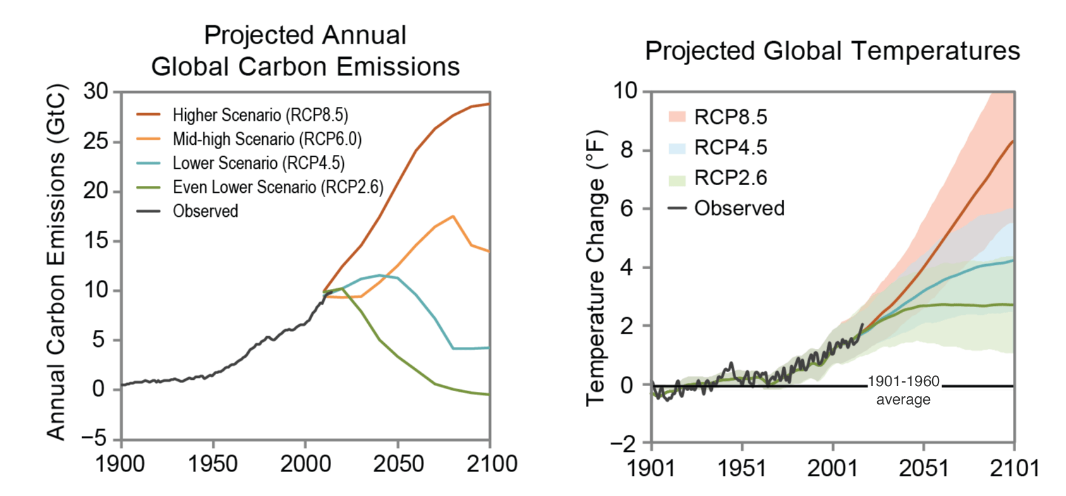 Global Carbon Emissions in Connection to Changes in Global Temperature