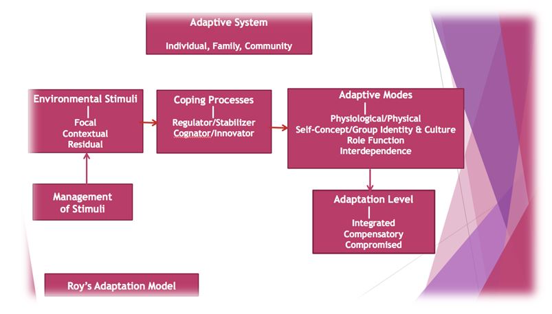 Roy’s adaptation model