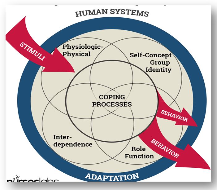 Diagram of human adaptive systems