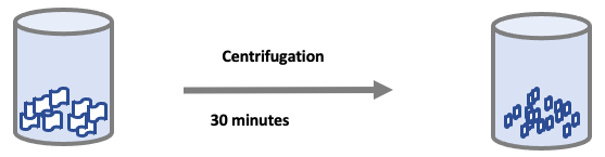 After the first centrifuging, the collected supernatant was centrifuged for 5000 G force for 30 minutes.