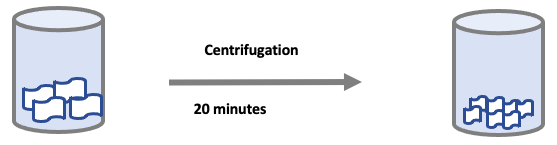 After sonication, dispersions were centrifuged at 200 G force for 20 minutes. 60% of supernatant was collected and centrifuged again.