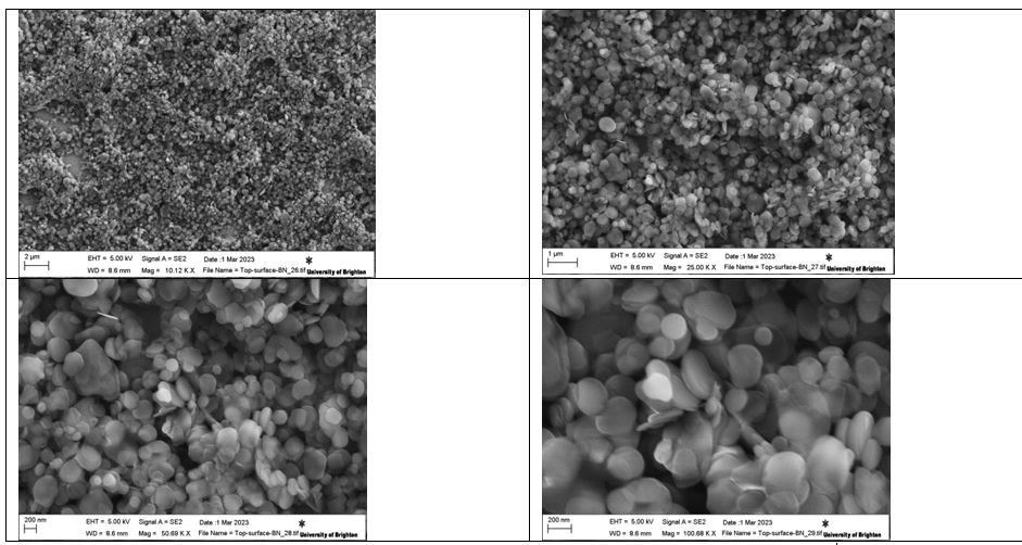 The SEM images of BN which expresses of the high concentration 2mg/ml.