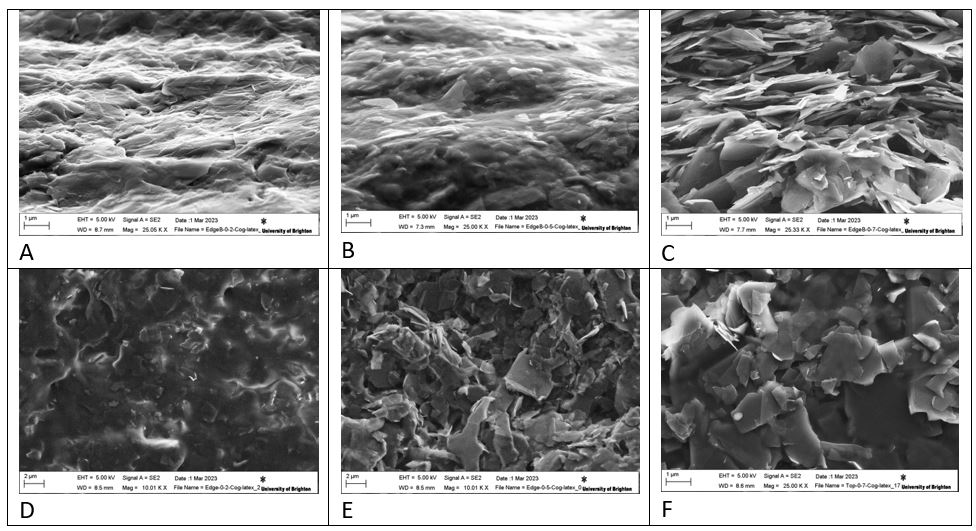 The SEM images of COG.