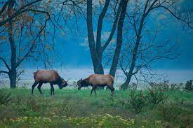 Changing Ozark Highlands