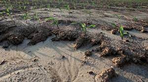 Erosion in the central basin affected by culture