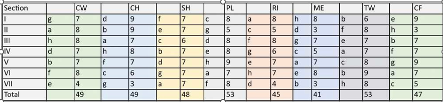 Belbin Teams Roles Table