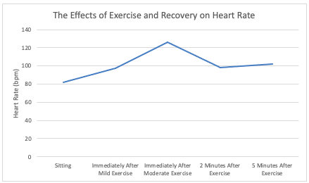 The Effects of Exercise and Recovery on Heart Rate