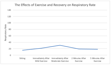 The Effects of Exercise and Recovery on Respiratory Rate