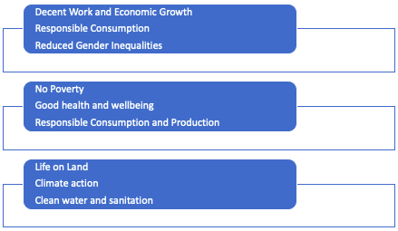 The SDG competitive design model Multifresh Daily Product LLC