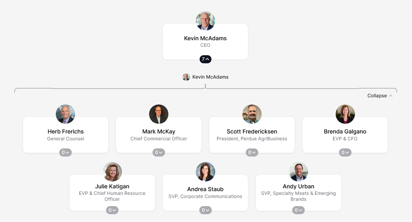Organizational arrangement of Perdue Farms