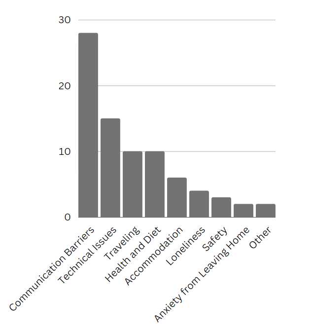 Main challenges faced by expatriates in Mexico