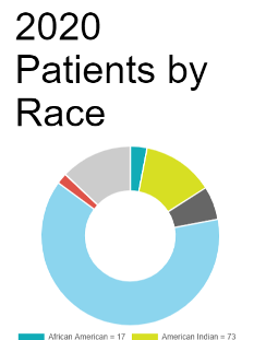 2020 Patients by Race