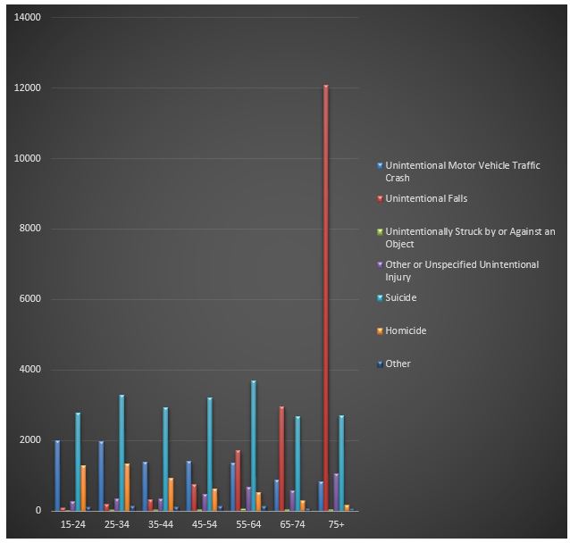Average annual number per 100,000 of traumatic brain injury-related deaths by age group and mechanism of injury