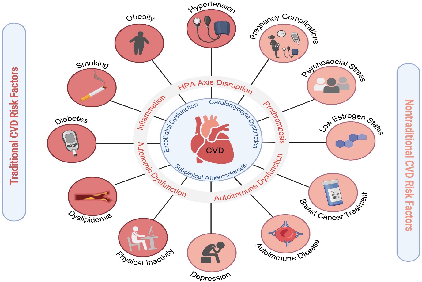 The Issues that Contribute to Heart Diseases among Women