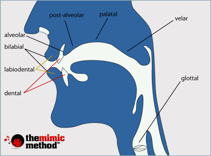 Eight different places of articulation.