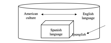 Spanglish is like a sponge immersed in Anglo-Saxon culture.