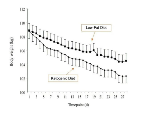 The effect of the ketogenic and low-fat diets on body weight