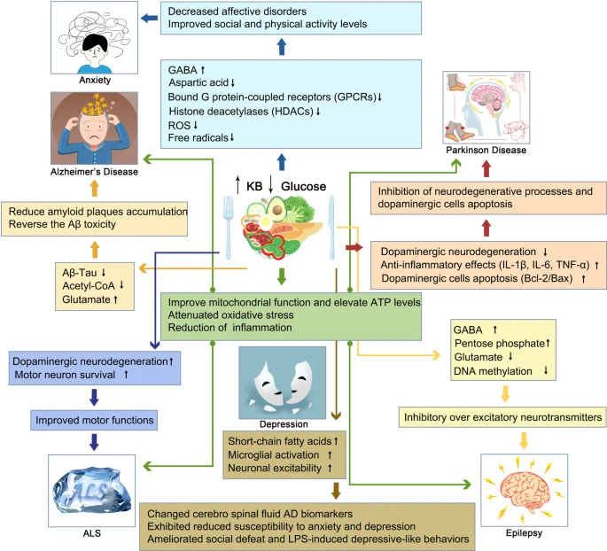 Mechanisms of the ketogenic diet on neurodegenerative disorders