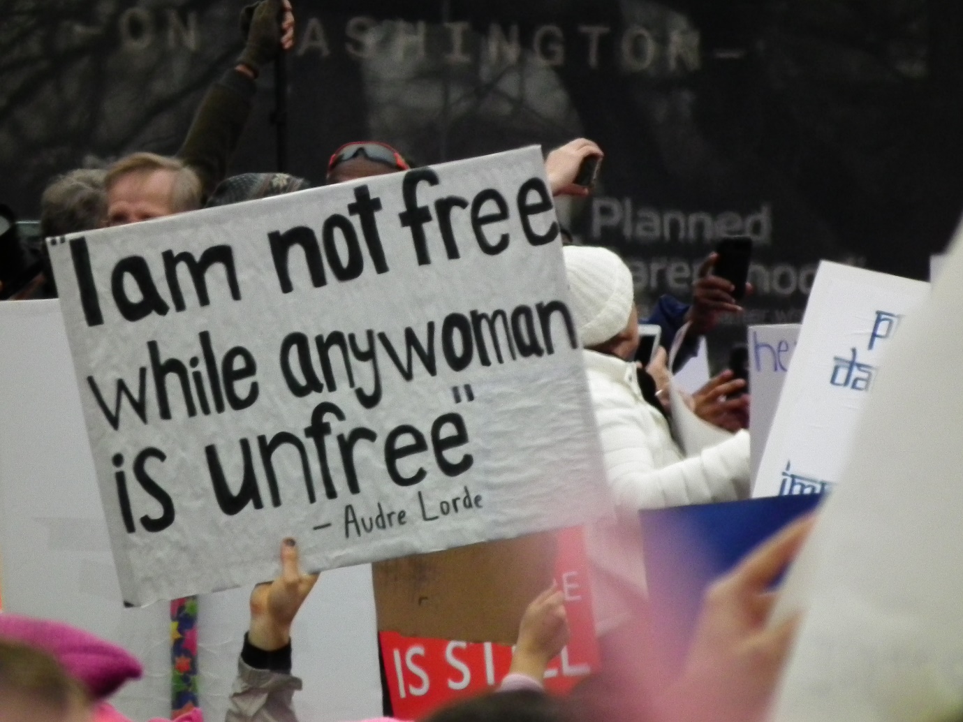 A Quote by Audre Lorde Used at a Women’s March in 2017