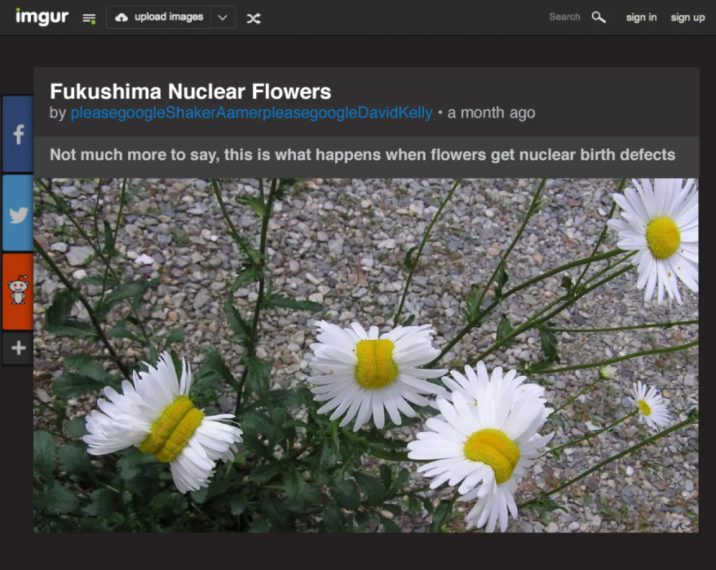 Radiation Flowers