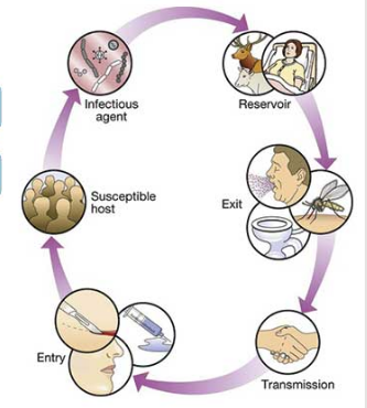 Mumps Epidemiology