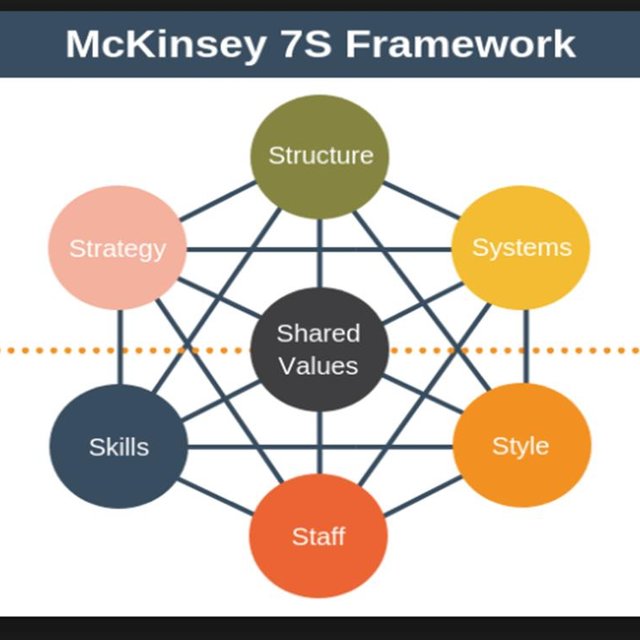 McKinsey 7s framework.